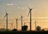 ekosolarzory-2025-05 - ekosolarzory_energia odnawialna_28_3 - Werka.jpg
