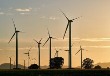 ekosolarzory-2025-05 - ekosolarzory_energia odnawialna_28_3 - Werka.jpg