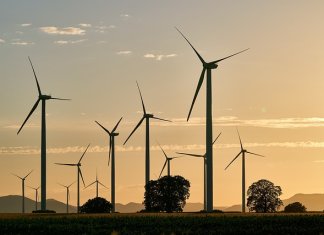 ekosolarzory-2025-05 - ekosolarzory_energia odnawialna_28_3 - Werka.jpg