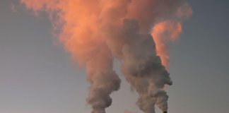 Werka - sklep z wykładzinami (2).jpg