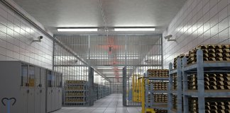 pawel-reesinls - autostore 3.jpg